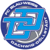 FC BW Dachwig/Döllst